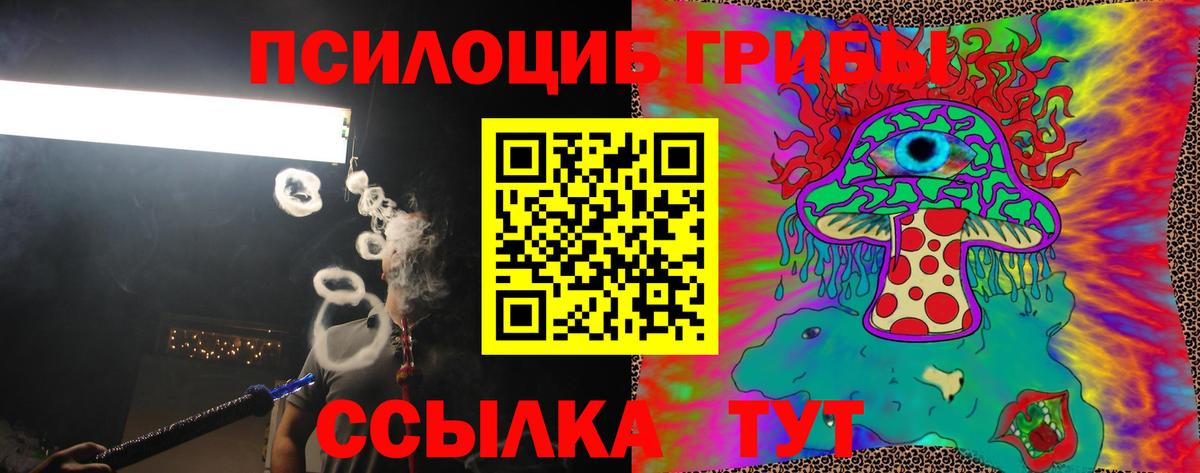 Соликамск  Галлюциногенные грибы Cubensis  Вход с VPN 
