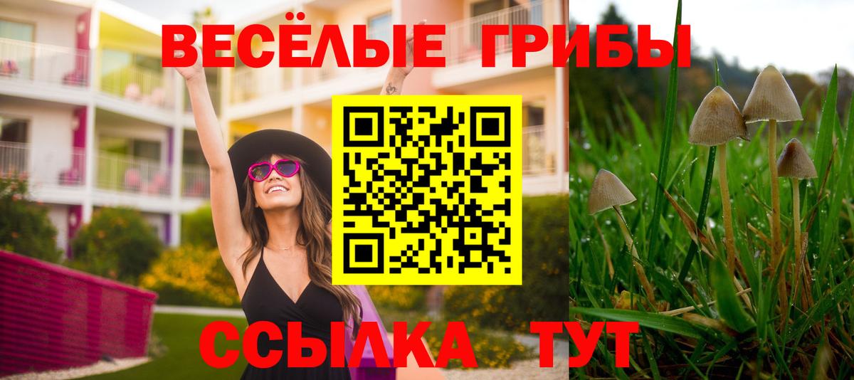 Псилоцибиновые грибы MAGIC MUSHROOMS Соликамск